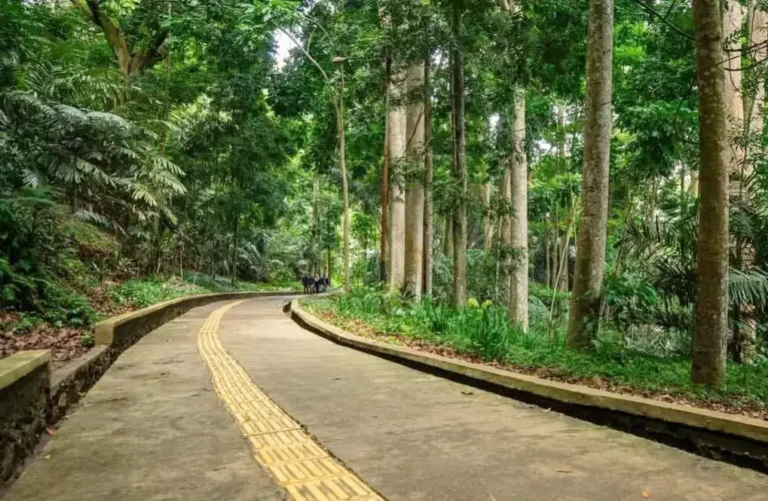 Taman Hutan Raya Ir. H. Djuanda, Ruang Hijau untuk Pecinta Alam